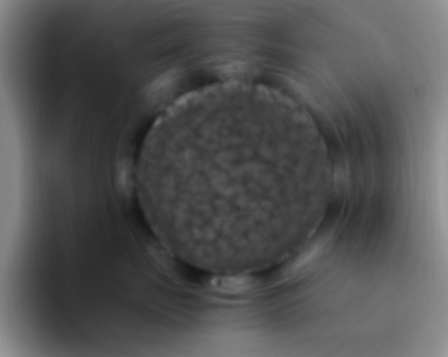 X0000091940671200709261933