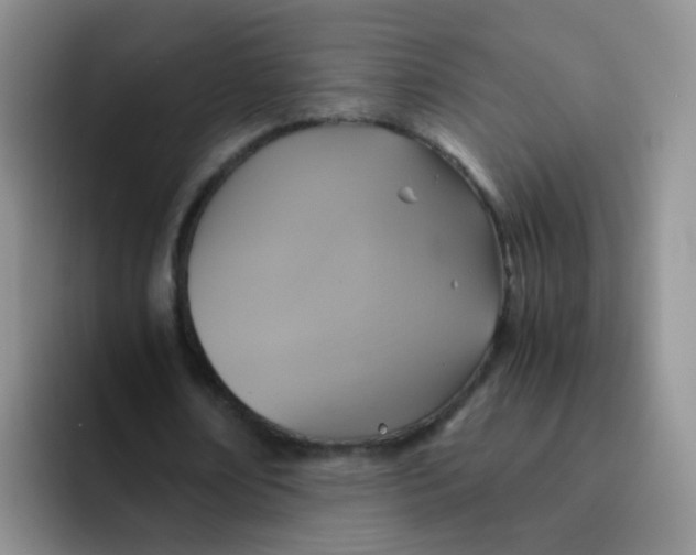 X0000091940674200709261933