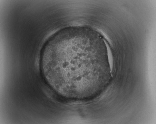 X0000091940675200709261933