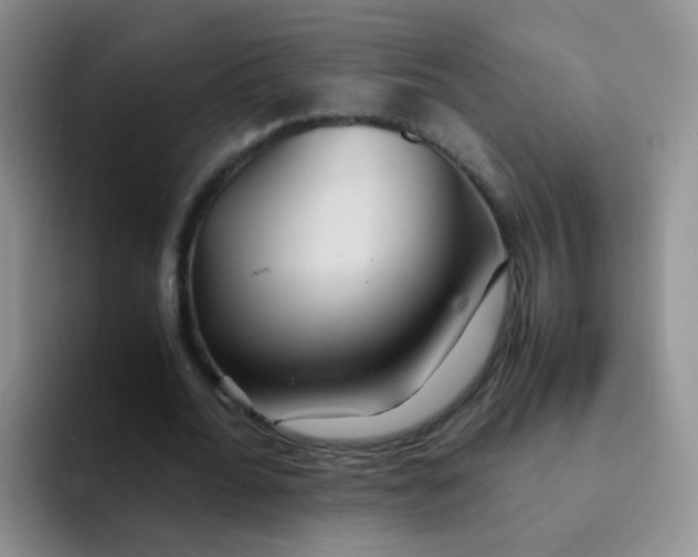 X0000091940676200709261933