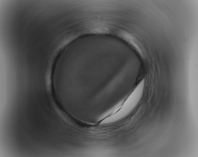 X0000091940677200709261933