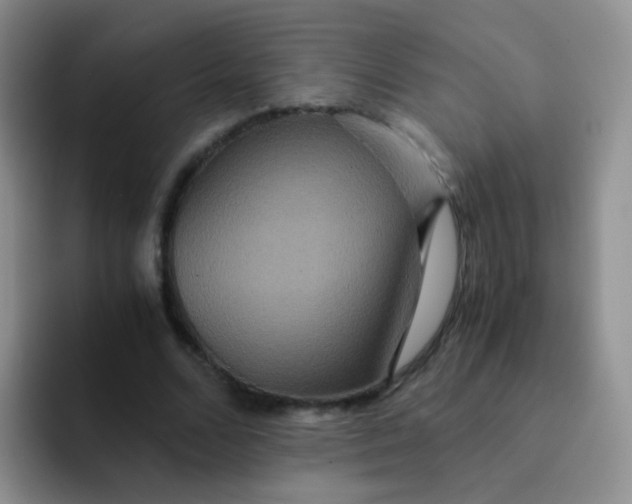 X0000091940680200709261933