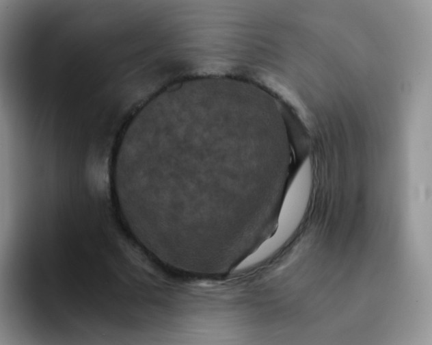 X0000091940681200709261933