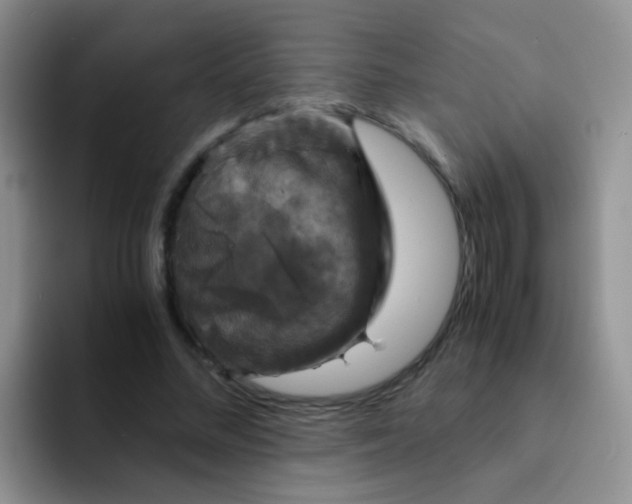 X0000091940684200709261933