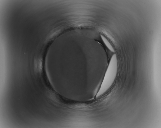 X0000091940685200709261933