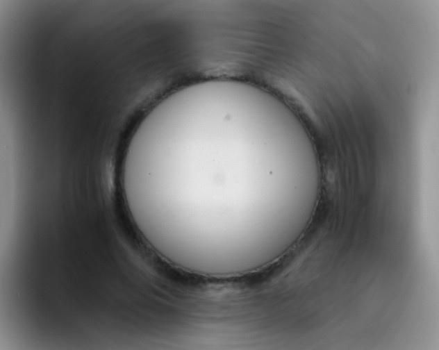 X0000091940686200709261933