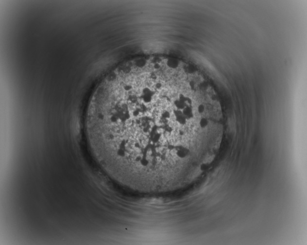 X0000091940687200709261933