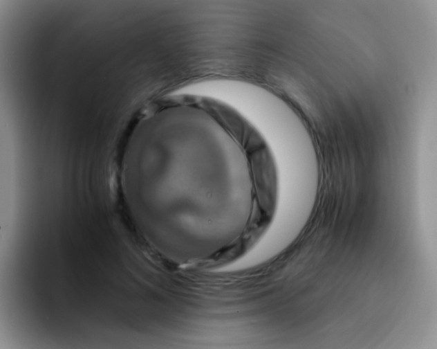 X0000091940692200709261932