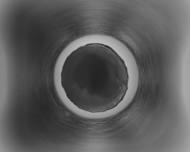 X0000091940693200709261932