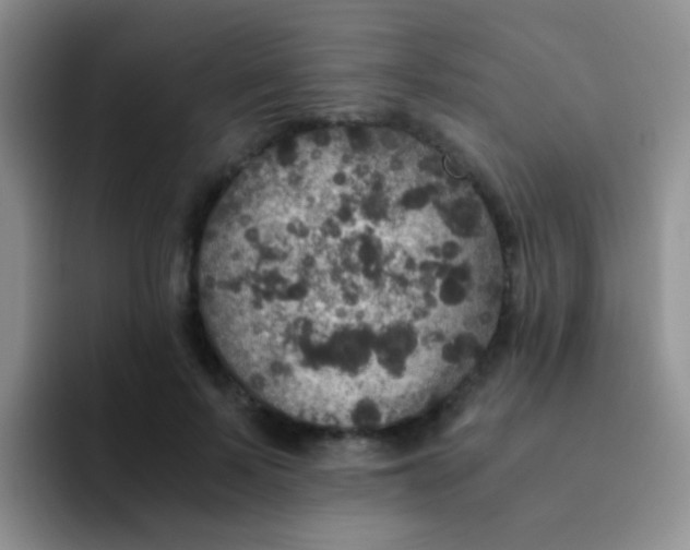 X0000091940695200709261932