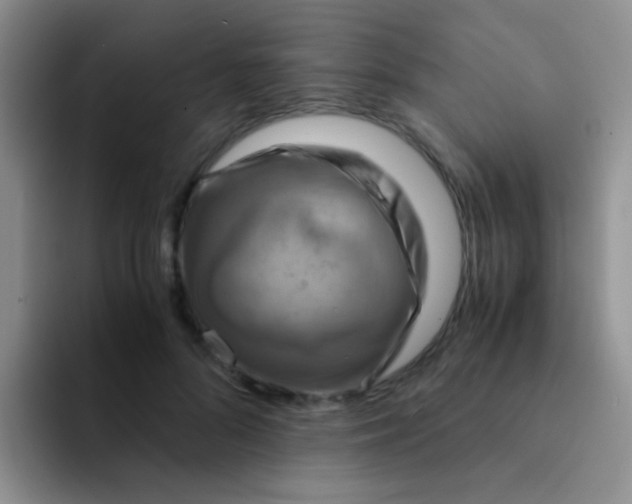 X0000091940696200709261932