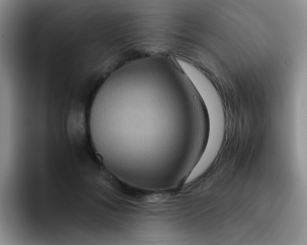 X0000091940700200709261932