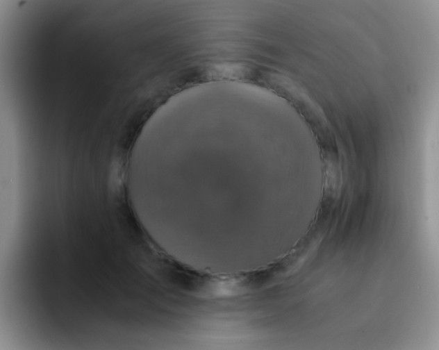 X0000091940701200709261932