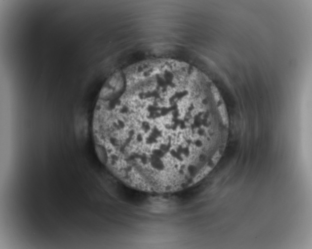 X0000091940703200709261932