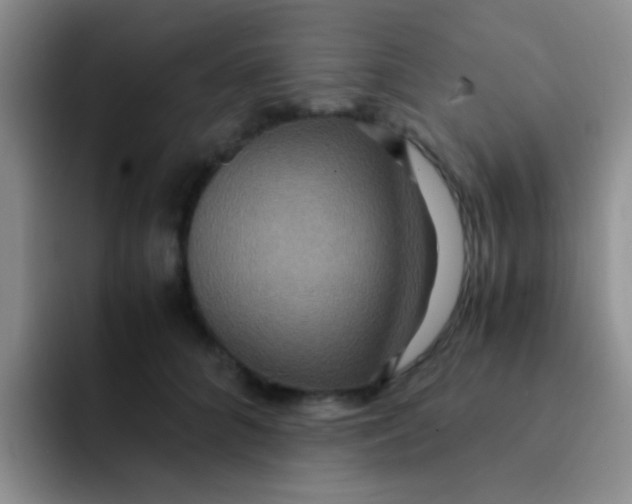 X0000091940704200709261932