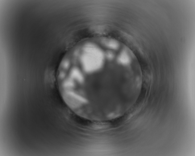 X0000091940707200709261932