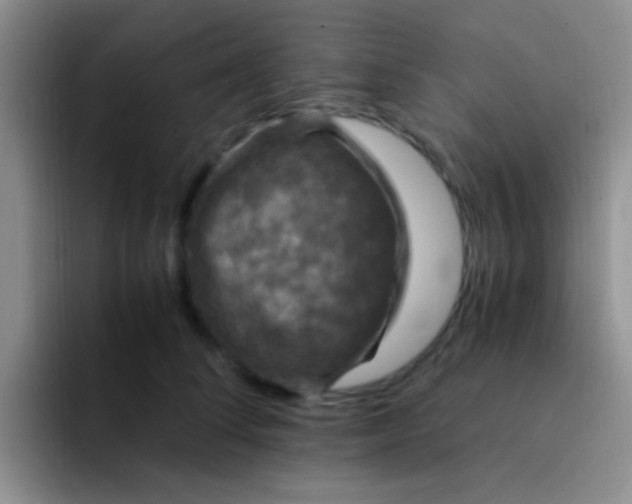 X0000091940708200709261932