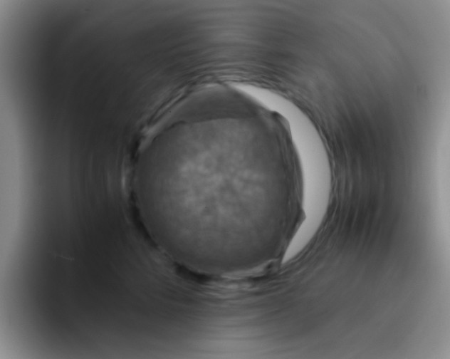 X0000091940712200709261932