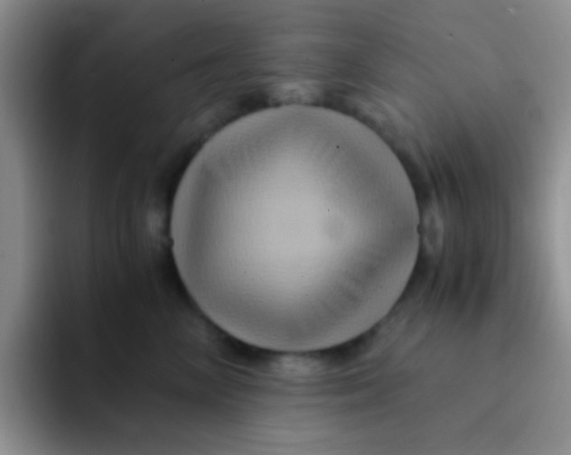 X0000091940714200709261932