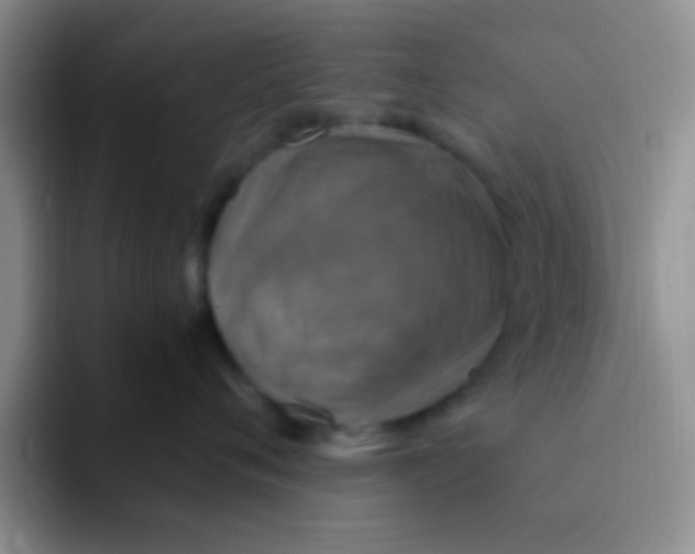 X0000091940720200709261932