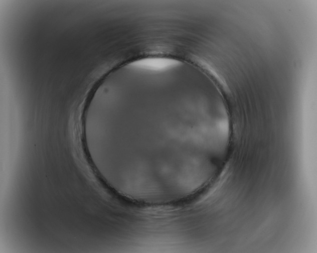 X0000091940721200709261932