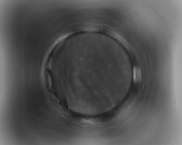 X0000091940723200709261932