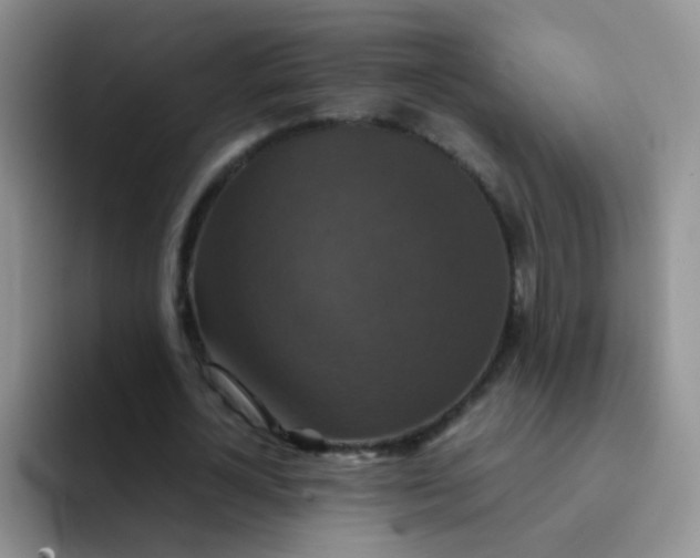 X0000091940724200709261932