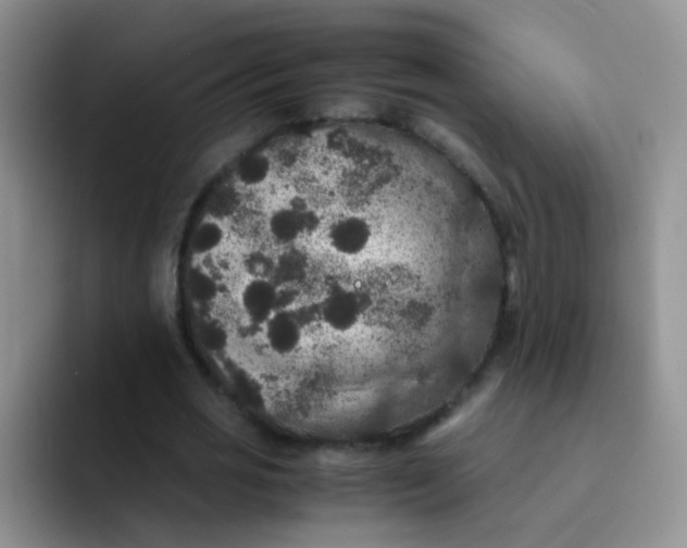 X0000091940725200709261932