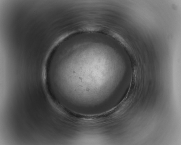 X0000091940726200709261932