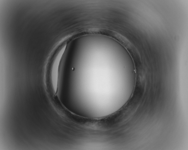 X0000091940728200709261932