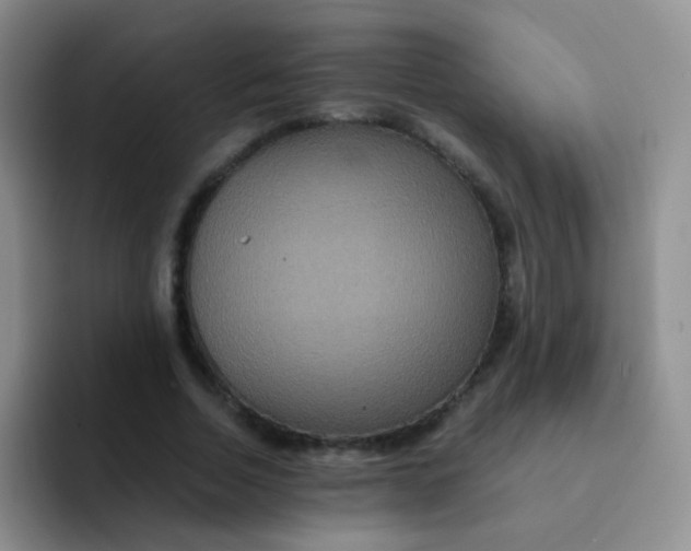 X0000091940730200709261932