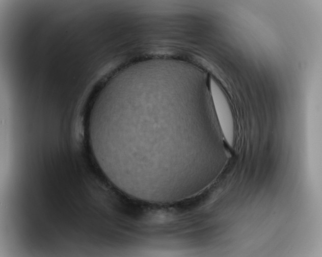 X0000091940731200709261932