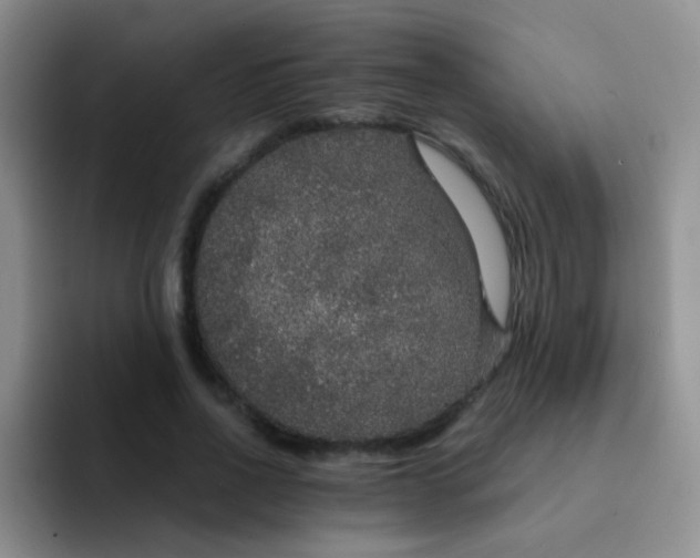 X0000091940734200709261932