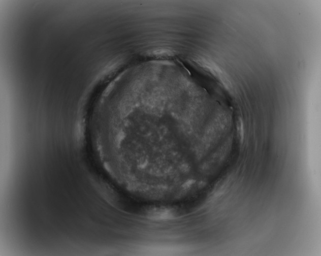 X0000091940735200709261932