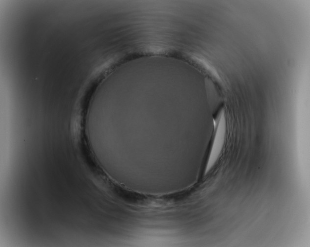 X0000091940736200709261932