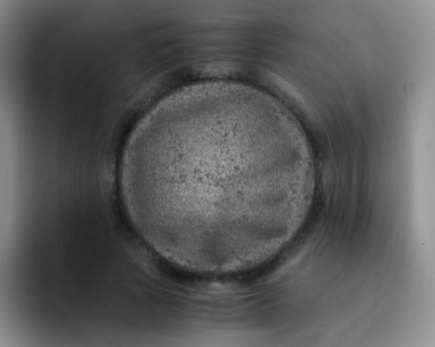 X0000091940737200709261932