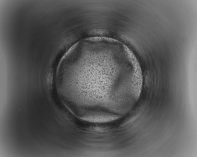 X0000091940739200709261932