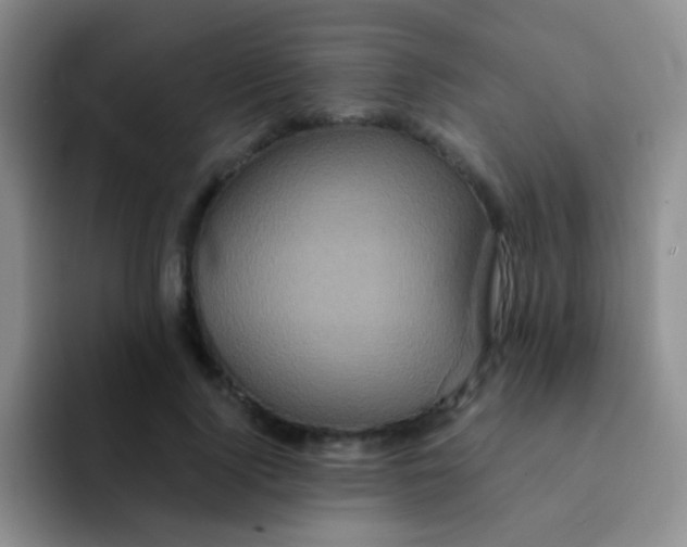 X0000091940740200709261932