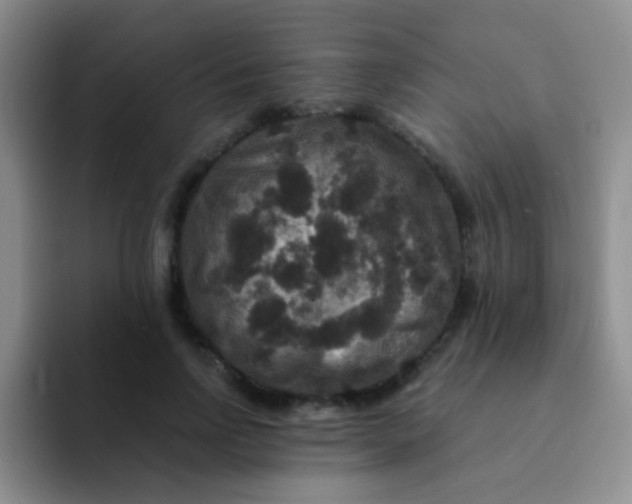 X0000091940742200709261932