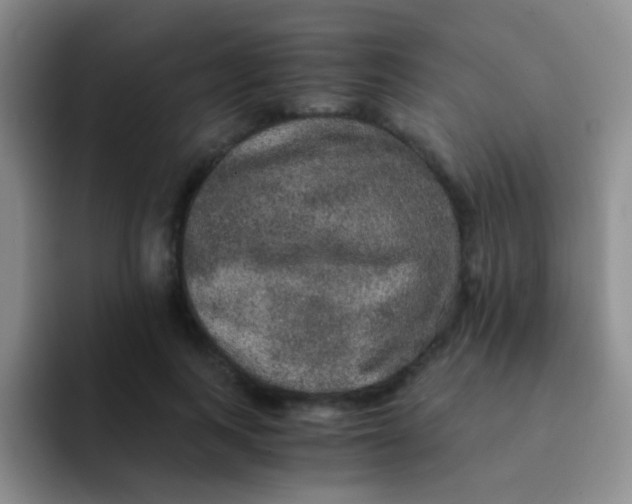 X0000091940743200709261932