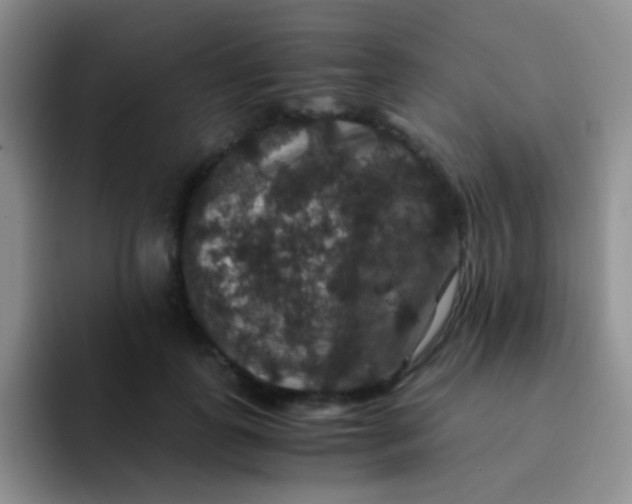 X0000091940747200709261932