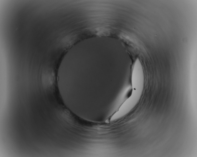 X0000091940748200709261932