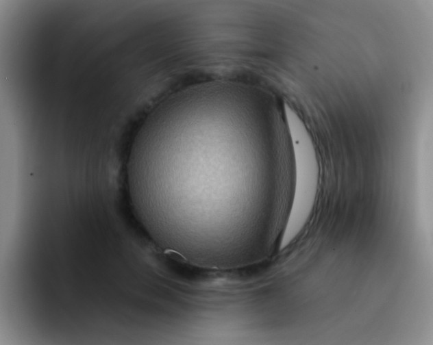 X0000091940750200709261932