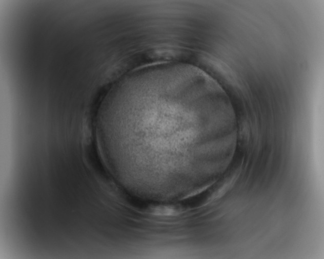 X0000091940751200709261932