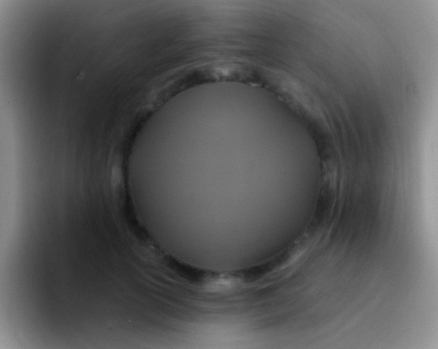 X0000091940754200709261932