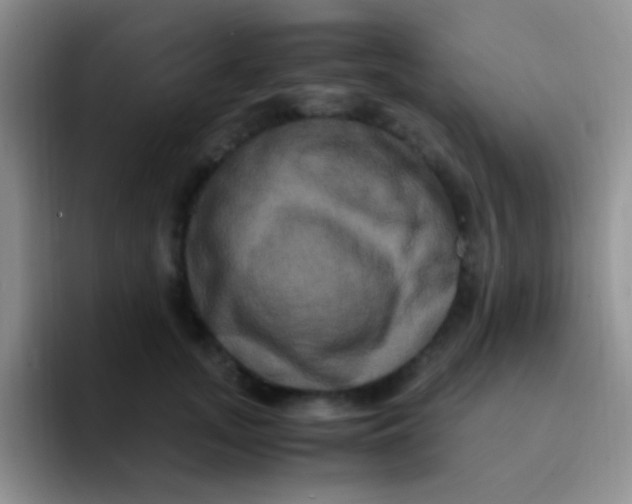 X0000091940755200709261932