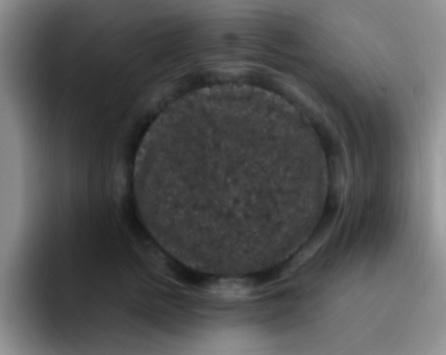 X0000091940758200709261932