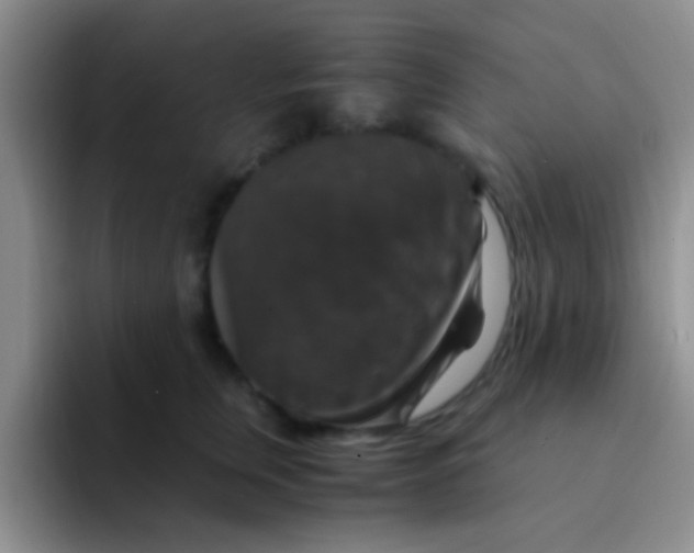 X0000091940759200709261932