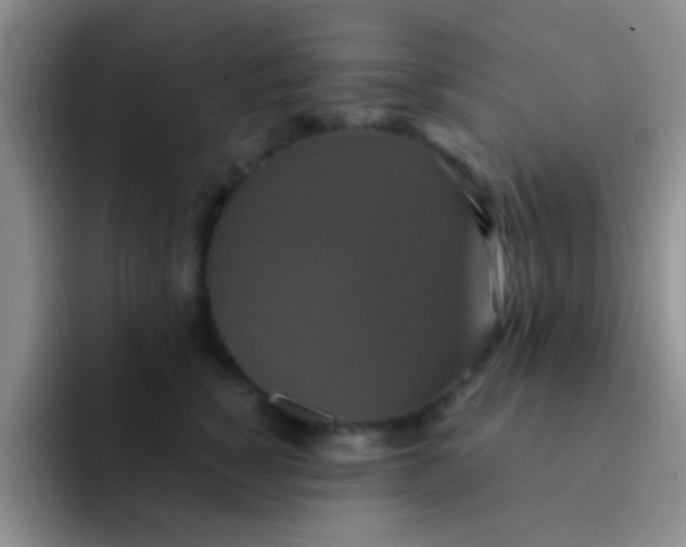 X0000091940760200709261932