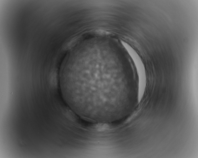 X0000091940762200709261932